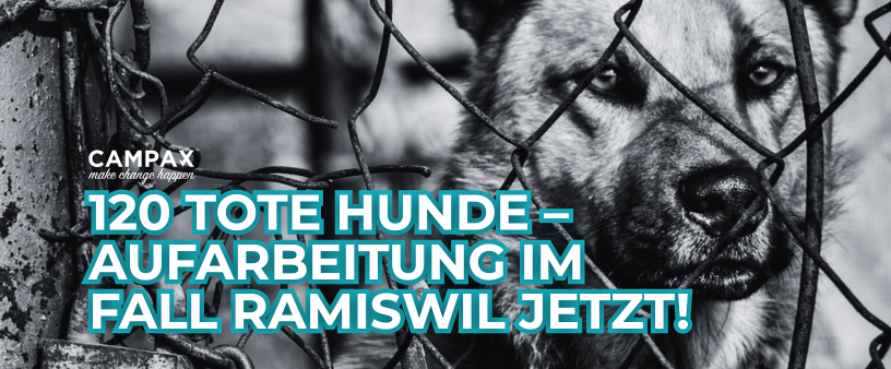 Aufarbeitung Ramiswil jetzt!