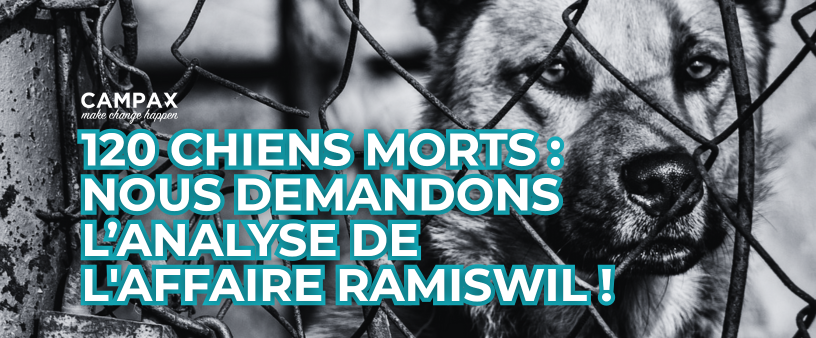 Analyse de l'affaire Ramiswil