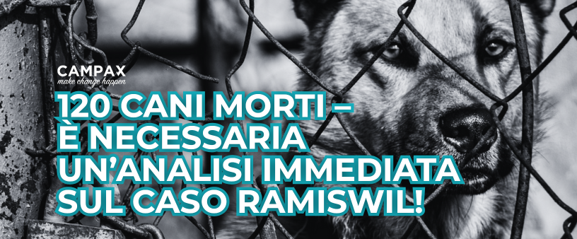 Analisi sul caso Ramiswil